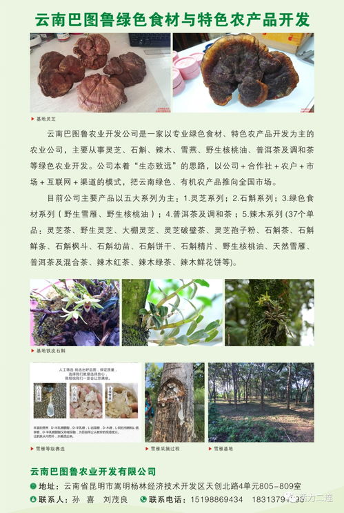 我會組織會員單位赴二連浩特邊民互市貿易區商品展銷會