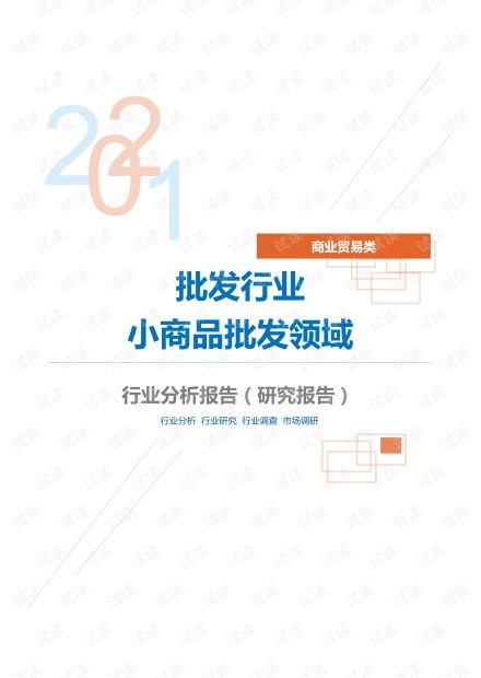 商業貿易類批發行業小商品批發領域分析報告 研究報告 .pdf