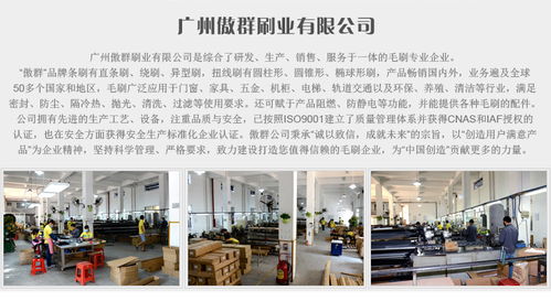 黑色手扶梯毛刷 傲群廠(chǎng)家直銷(xiāo) 質(zhì)量保證 定制單排手扶梯毛刷